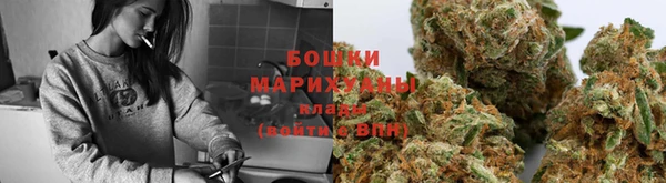 дурь Волосово